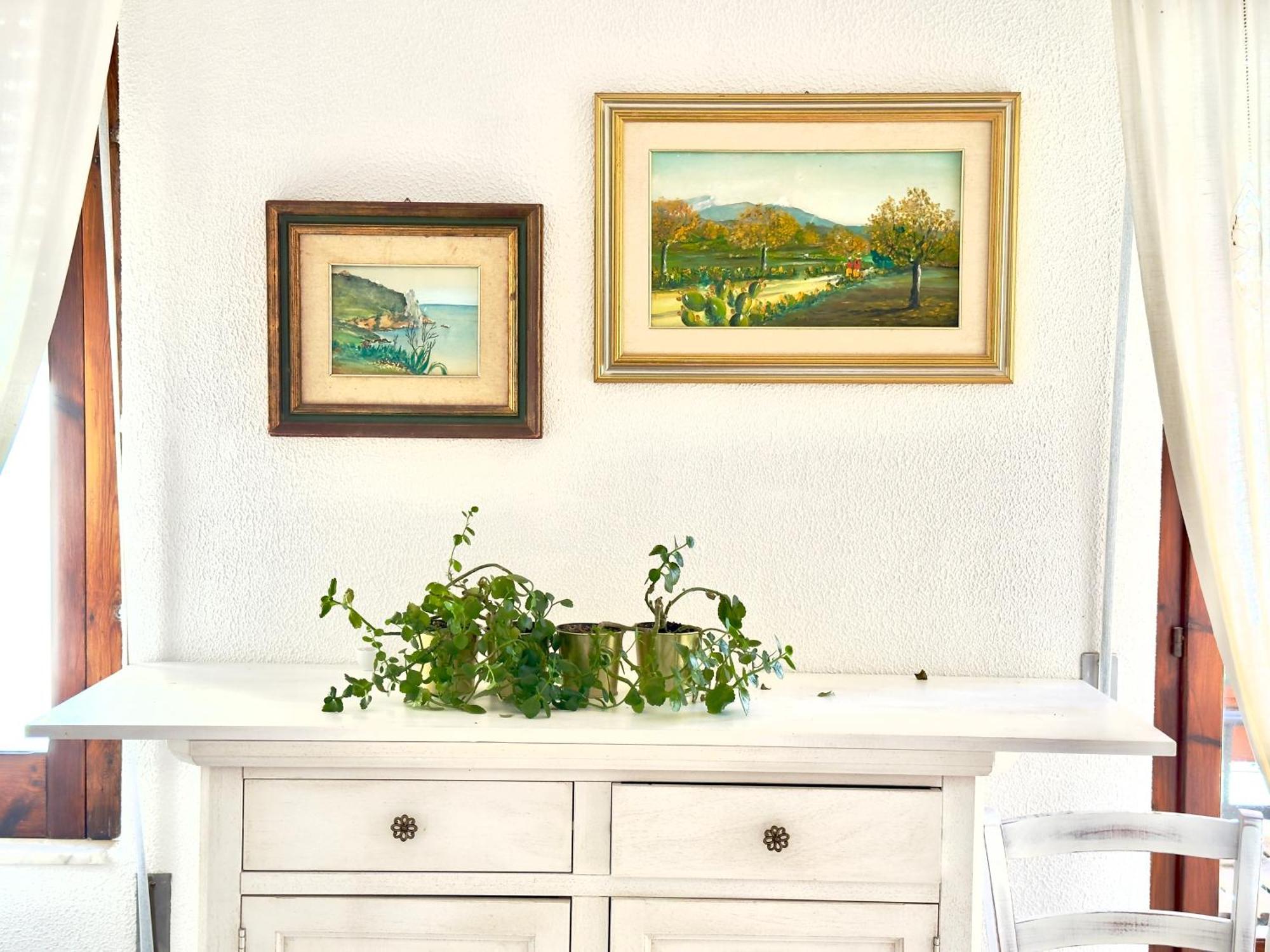 B&B Selvaggio Blu Baunei Dış mekan fotoğraf